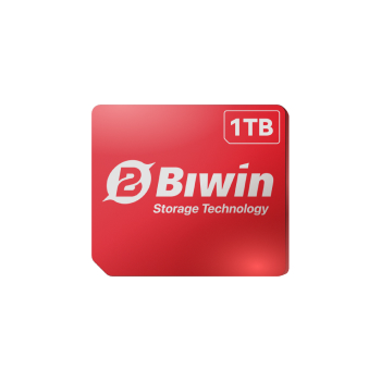 Mini SSD